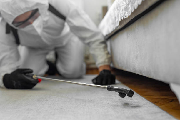 Professional Bed Bug Control technician working in Big Bear City, CA