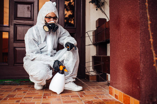 Reliable Bed Bug Control contractor in Big Bear City, CA by Nex Pest Control