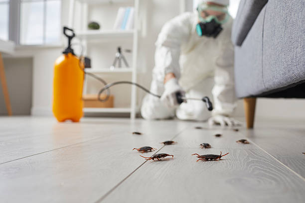 Trusted Emergency Pest Control service in Big Bear City, CA - Nex Pest Control