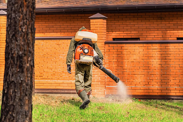 Trusted Termite Control service in Big Bear City, CA - Nex Pest Control